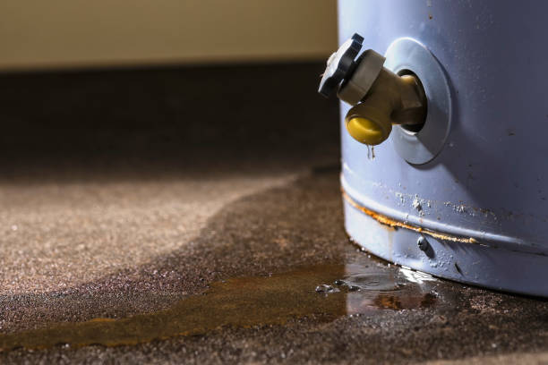 Best Ceiling water damage repair  in Cherryville, PA