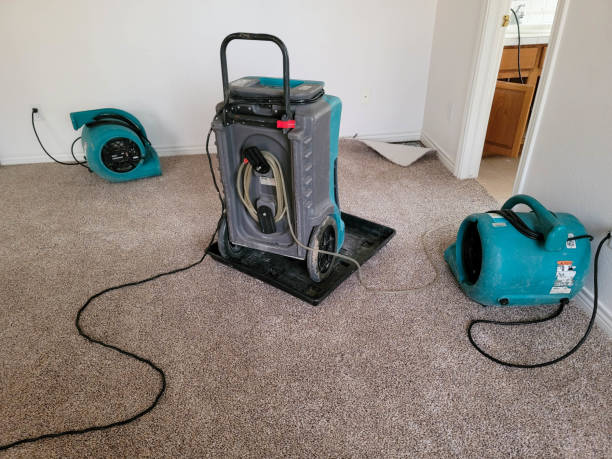 Best Sewage cleanup and water damage restoration  in Cherryville, PA