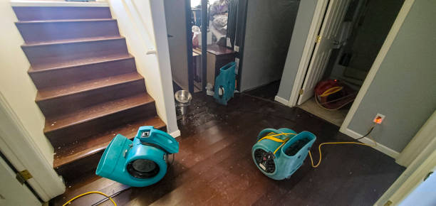 Best Water damage contractors near me  in Cherryville, PA
