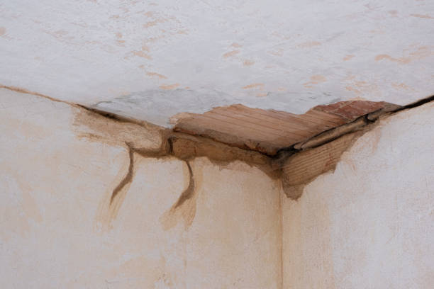 Best Basement water damage restoration  in Cherryville, PA