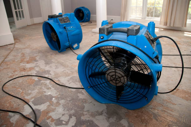 Best Carpet water damage restoration  in Cherryville, PA