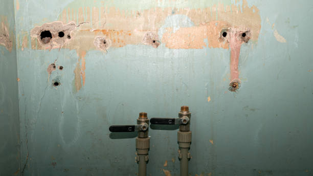 Best Water damage restoration cost  in Cherryville, PA