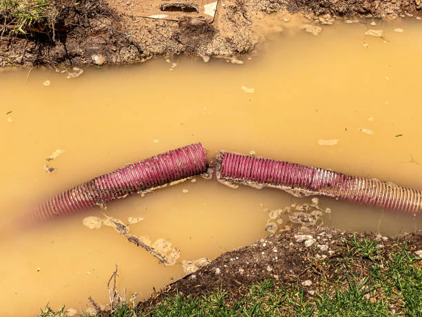 Best 24/7 water damage repair  in Cherryville, PA